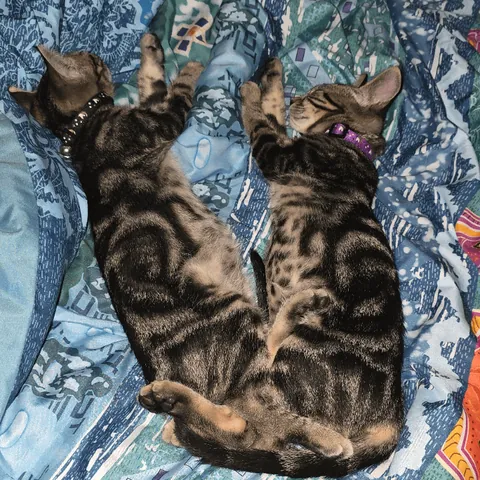 They grow up so fast, but will never grow apart!