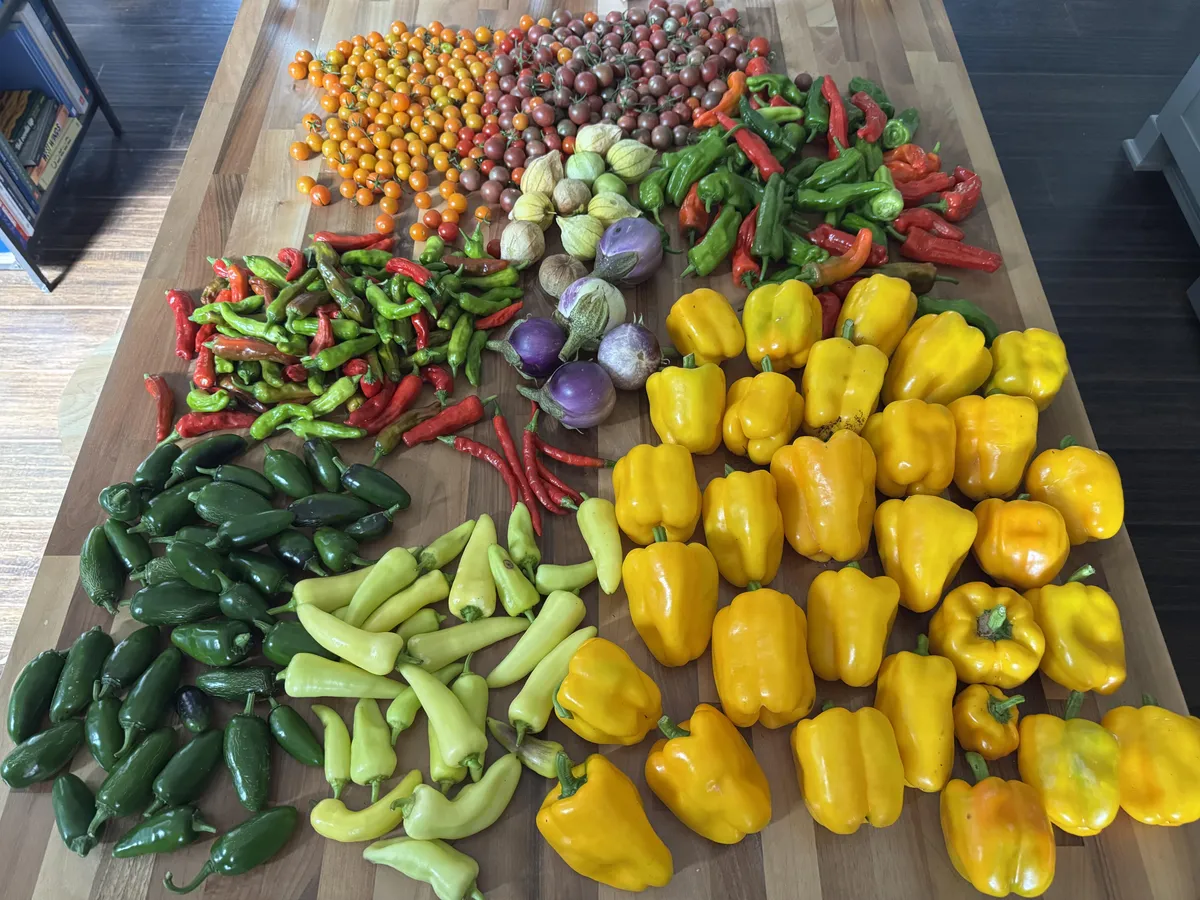 It’s been a good pepper year
