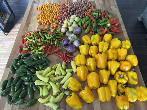It’s been a good pepper year