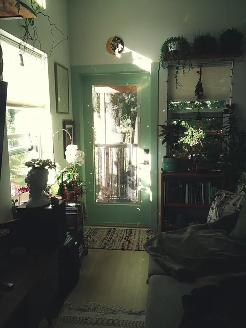 My happy place in the morning sun