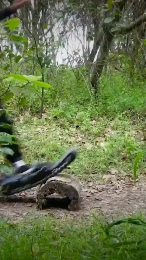 All terrain Skateboard