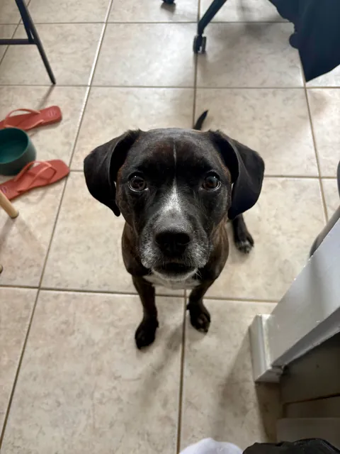 Why is she so perfect????? Cute lil baby