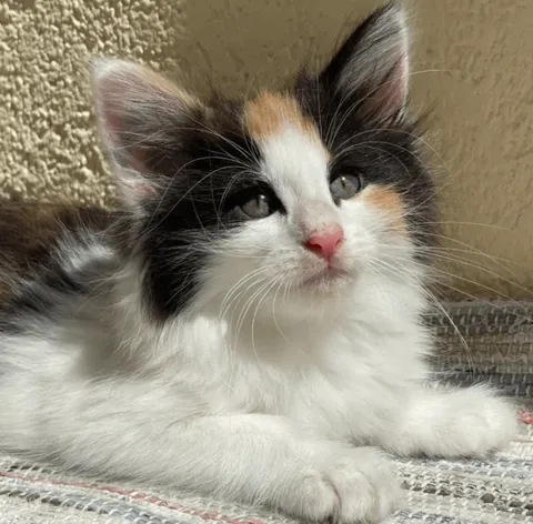 Lucy growing up , Then vs Now