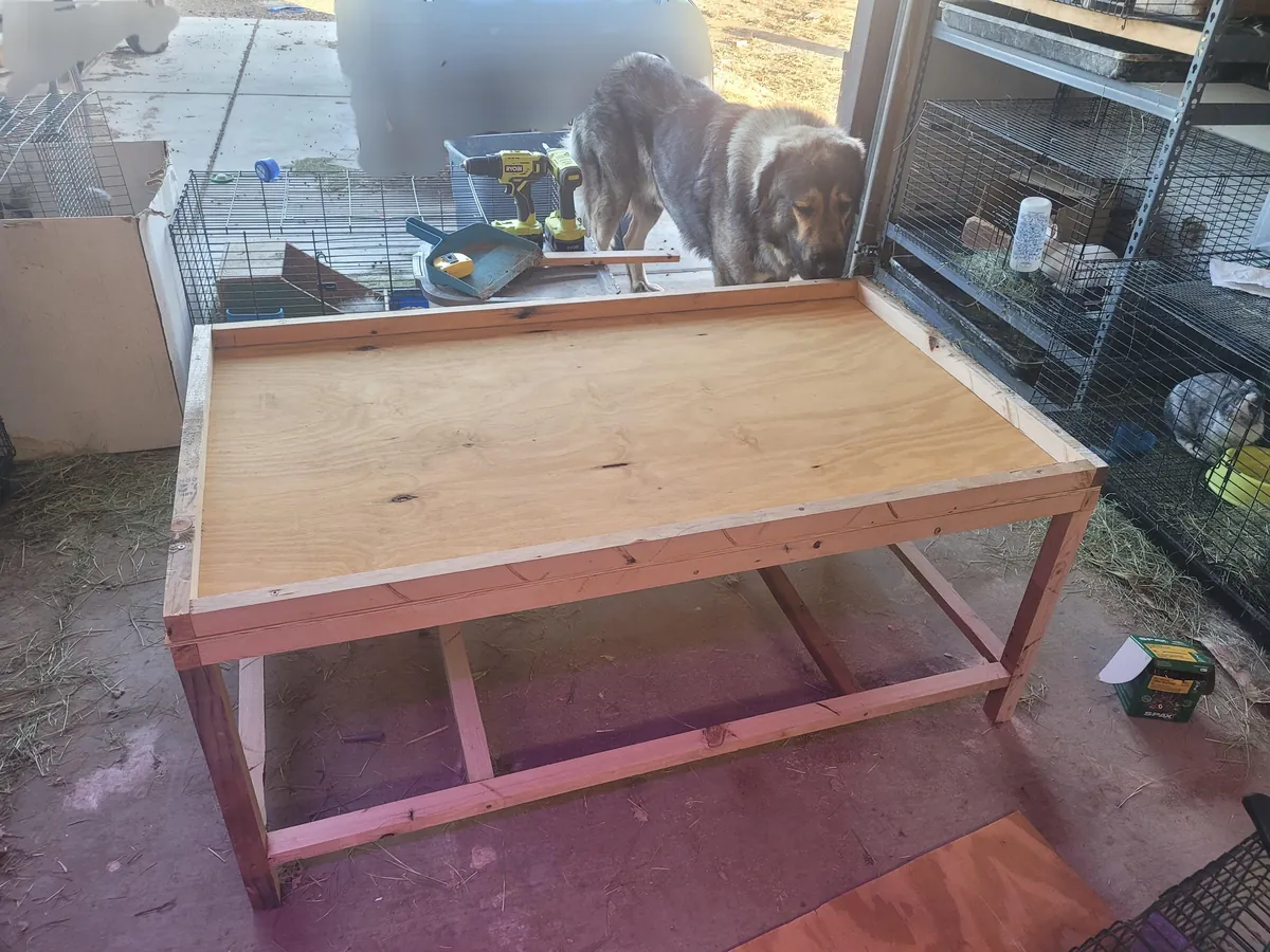 Sheepdog Too Big. Built A Bed To Match Dimensions To Our Queen. Used 100% Recycled Materials. £0 Spent. I Will Build/Install Drawer Tomorrow.