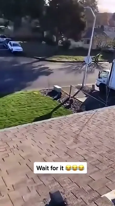 You have got to be kidding me