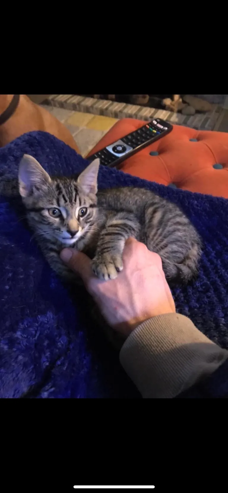 Big man turns 3 today