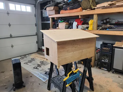 Upgrade for the neighborhood stray