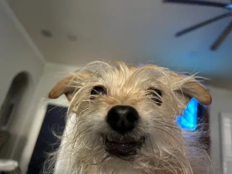 Evan! The most special little guy