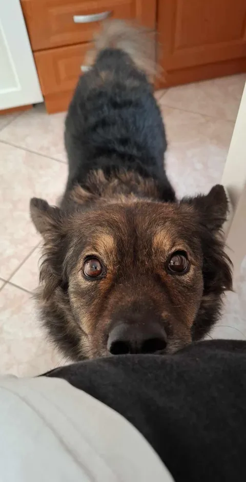 Ivan wants to say hi