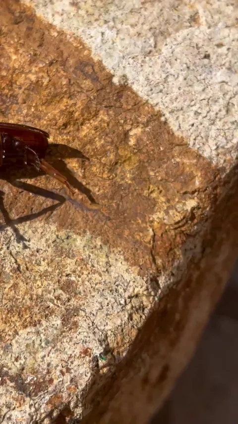 What the hell is happening here??