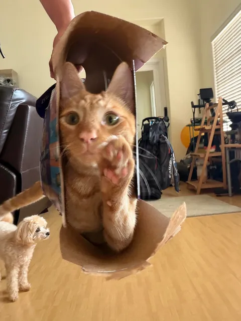 Check out my new suitcase