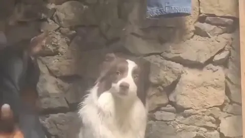 First time seeing the whole video