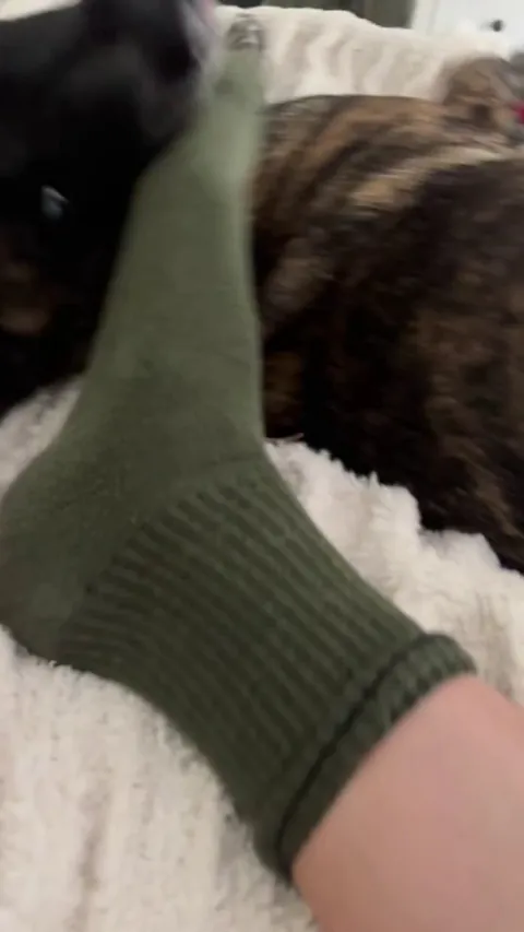 She loves to bite feets