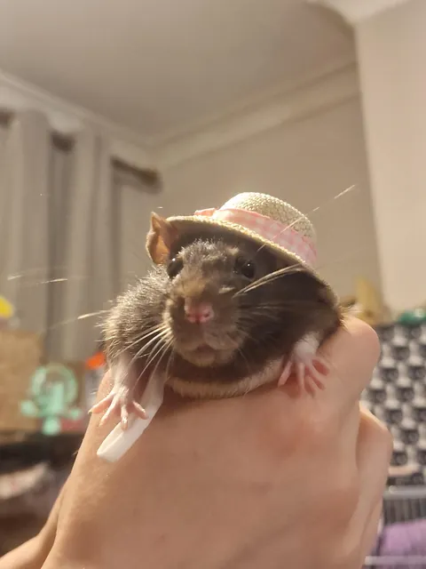 Summer is here