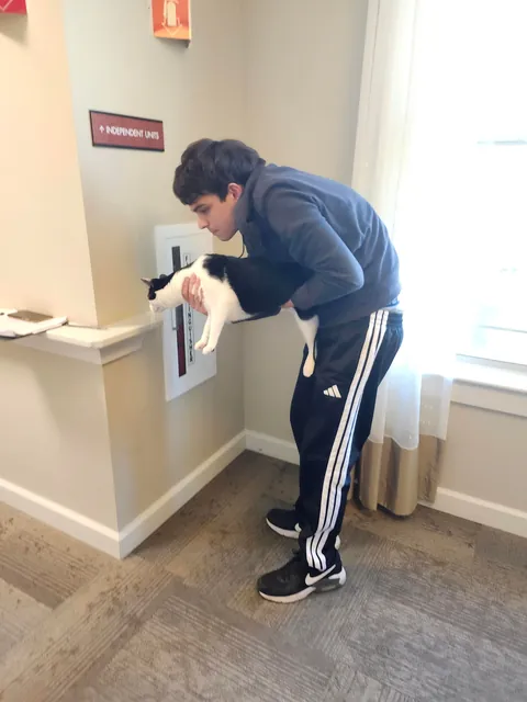 This is max, he is the cat of an old lady i deliver packages too. He is also incredibly friendly.