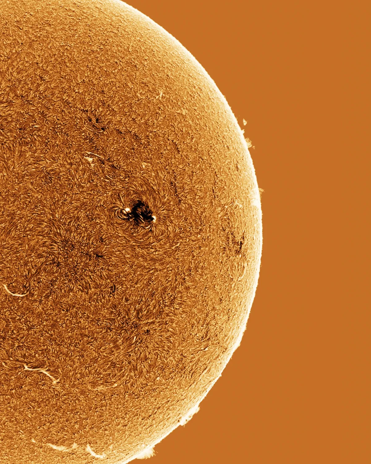 My first clear photo of the Sun this year: 1/17/2025