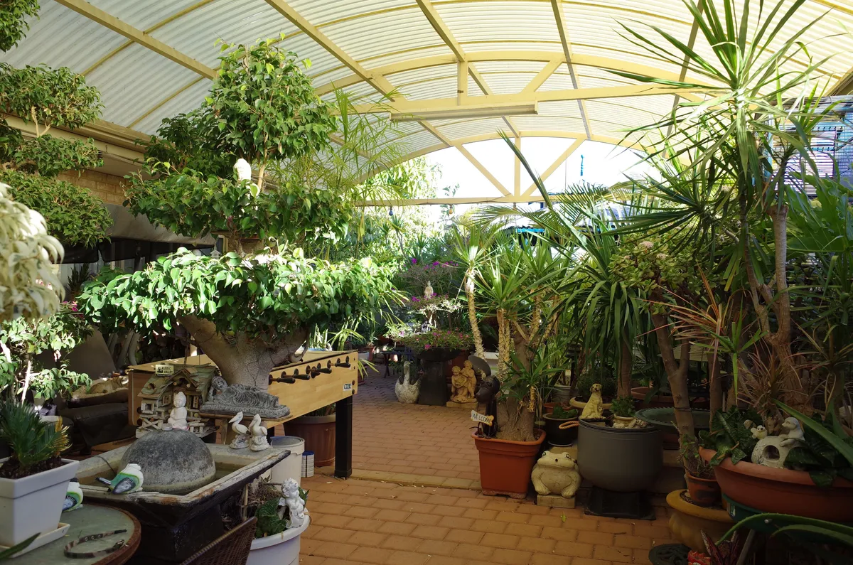 My dad’s garden. He has gotten to the point where he now has to sneak in new plants and little statues so my mum doesn’t tell him off for hoarding!