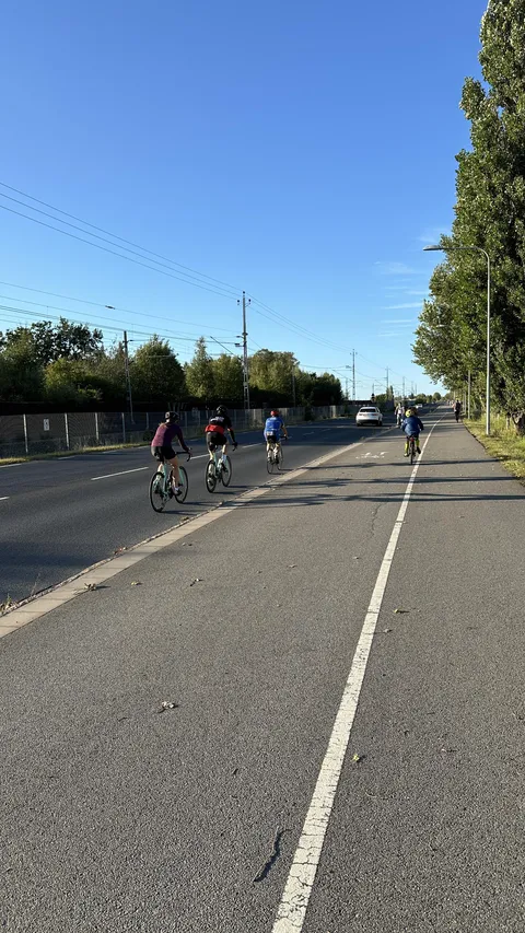 Cyclists roding on road, next to bike lane