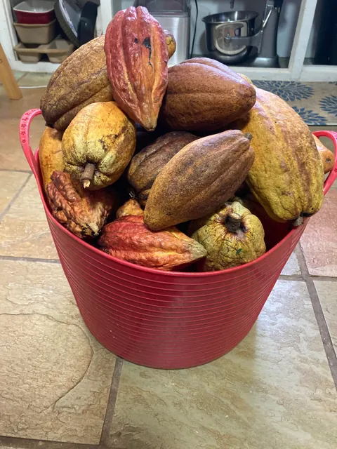 [Homemade] 72% Chocolate