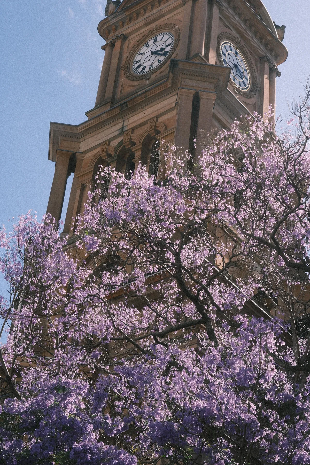 Our first week in Sydney