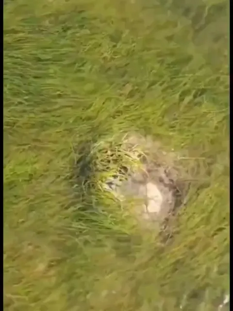 Can you explain what this is?