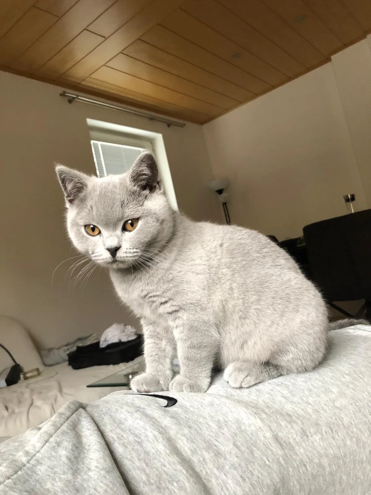 My little princess 🤭