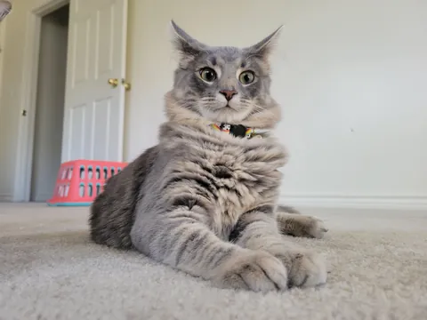 "You won't want to deal with it"