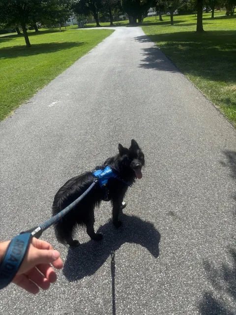 Thanks for checking in, I’d say he’s doing quite well! 3 months with my best friend. Time flies when you’re having fun!