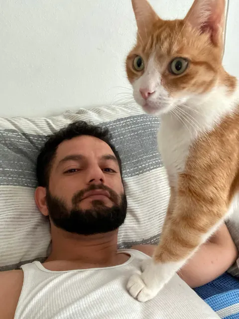 my caregiver cat -during my cancer (2022) / after my cancer (2024)