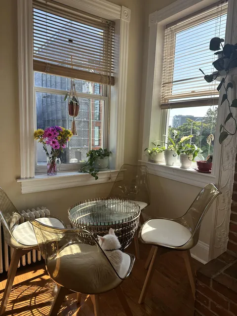 My Cozy Kitchen Corner