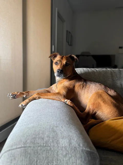 Hope Hector starts your weekend with a smile. And don’t forget to hug your fur babies