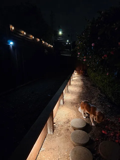 First time building a small retaining wall