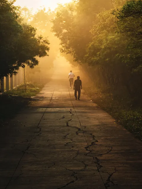 Morning walks in winter br like!