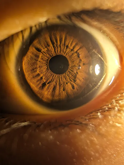 I've never understood what the crypts actually do and how it's formed in the first place