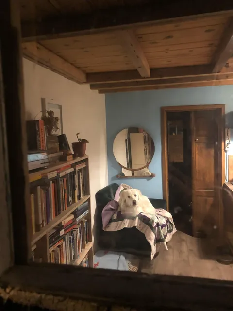 Once upon a time, I lived in a converted shed in New Mexico