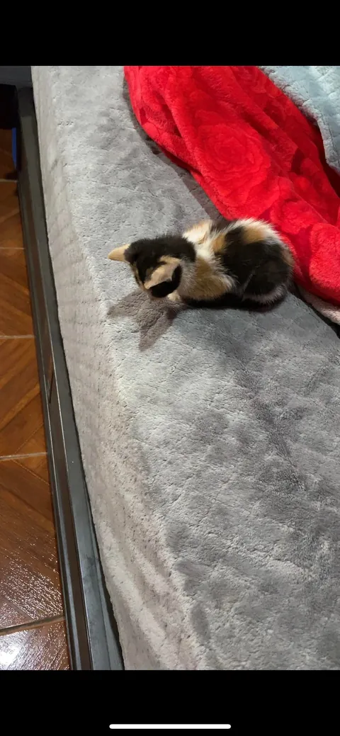 She saved me from committing suicide and gave me a reason to live.