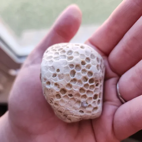 a rock my dad found