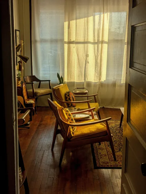 My front room in the morning light