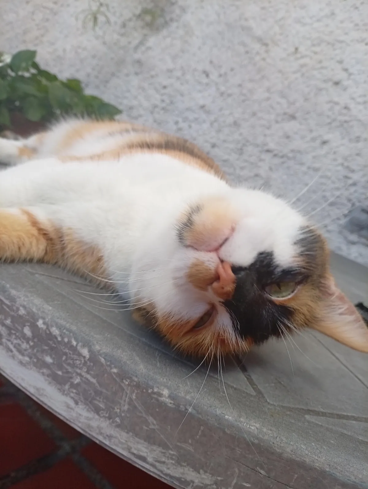 Every time I say his name he turns around and looks me in the eyes