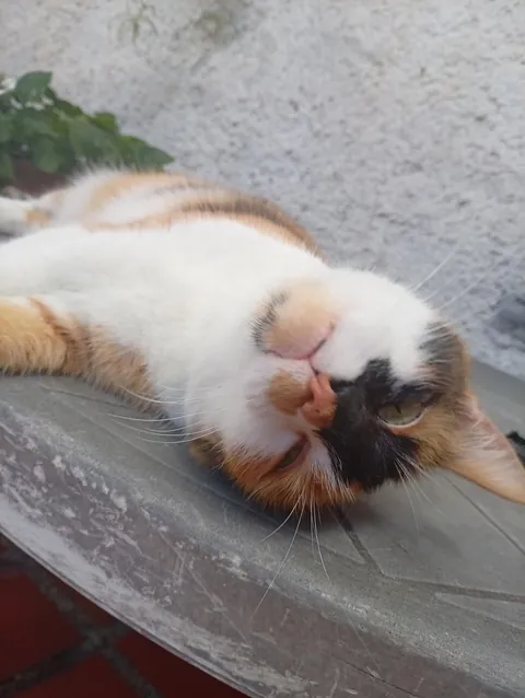 Every time I say his name he turns around and looks me in the eyes