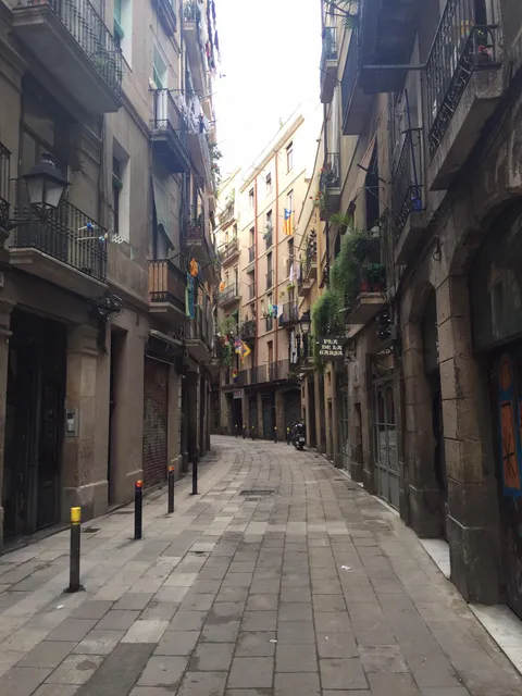 Had the Gothic Quarter in Barcelona to myself when I woke up at dawn due to jet lag!