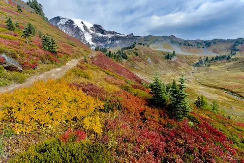 Fall colors along the Alta Vista Trail, Mount Rainier National Park, Washington [OC] [1620x1080]
