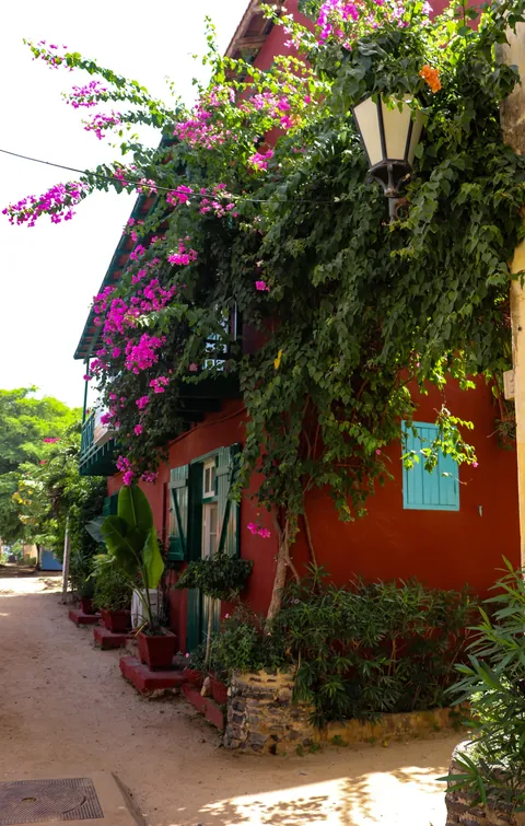 My guesthouse on Gorèe Island, Senegal 🇸🇳