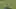 [Highlight] Jaylen Warren with an 80 yard touchdown for the Steelers