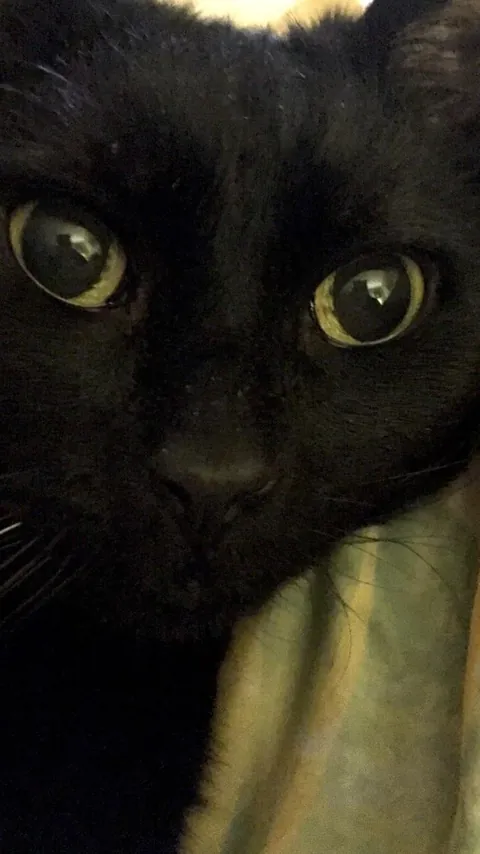 Heaven just got a little more BADASS!!