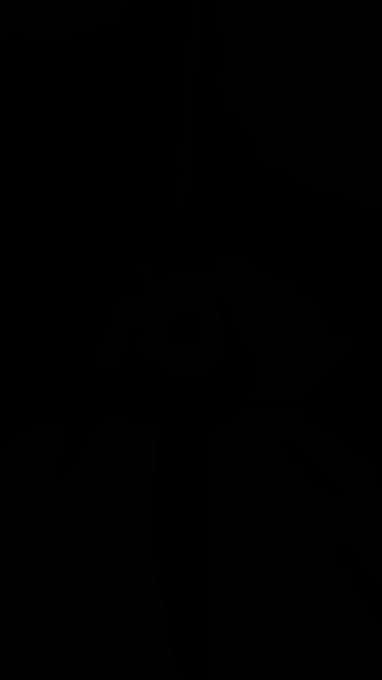 Threesome with the Tachibana twins