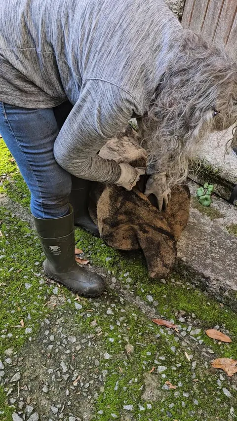 Spain Bread Oven UPDATE