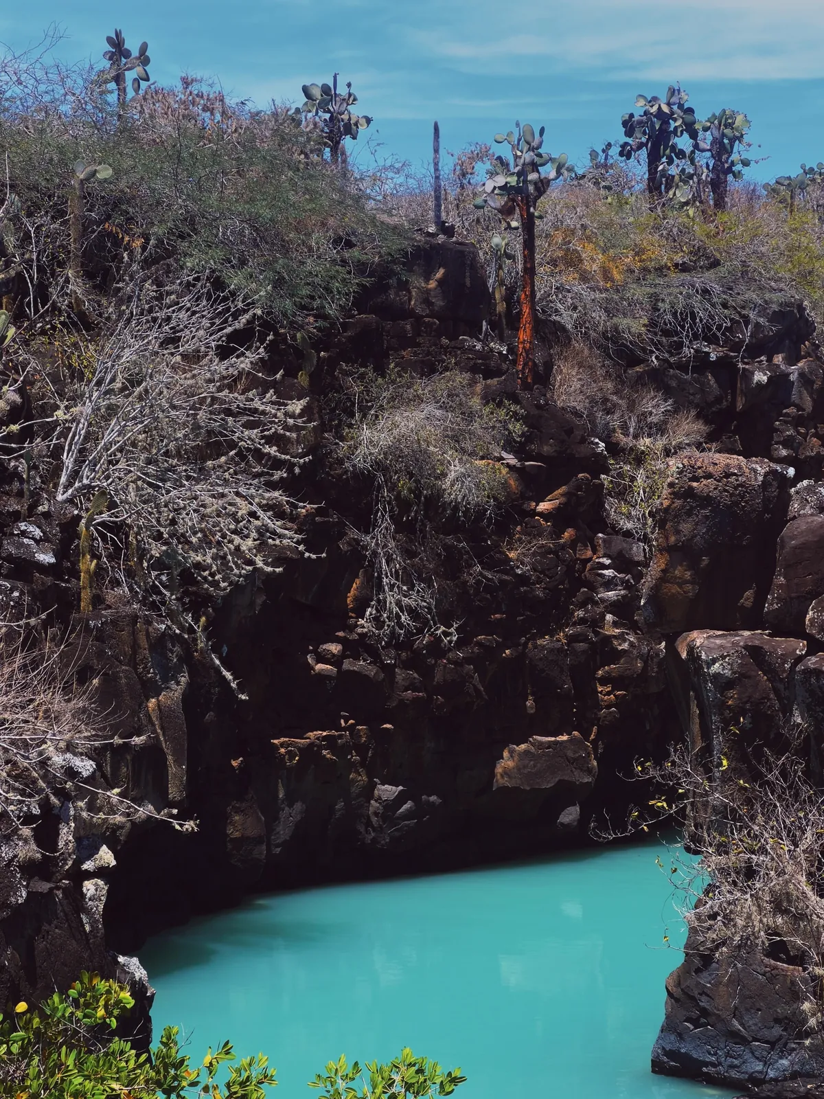 5 days in Galapagos in Sep 2025.