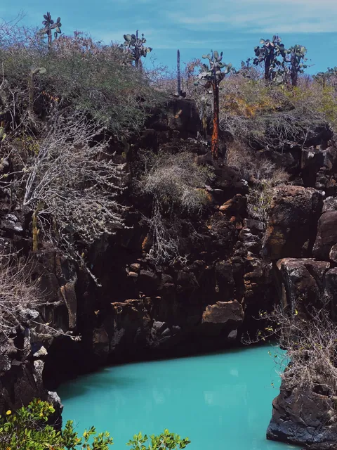 5 days in Galapagos in Sep 2025.