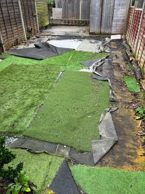 Garden before and after